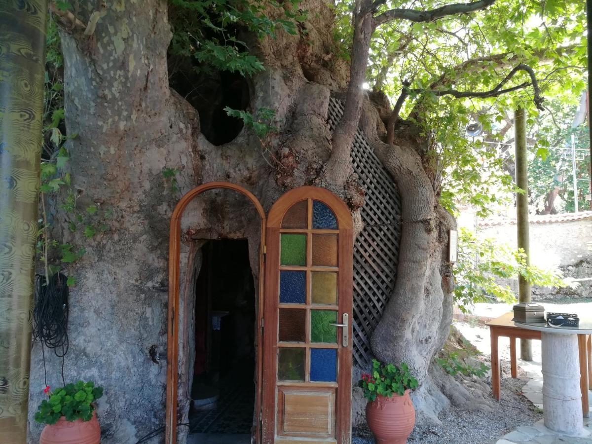 Plataniotissa Mansion Villa Kalavryta Luaran gambar